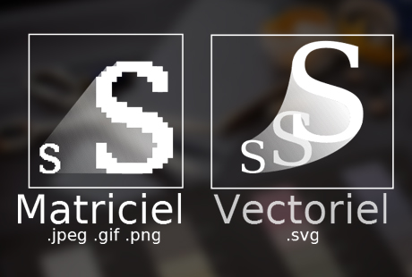 service vectorisation